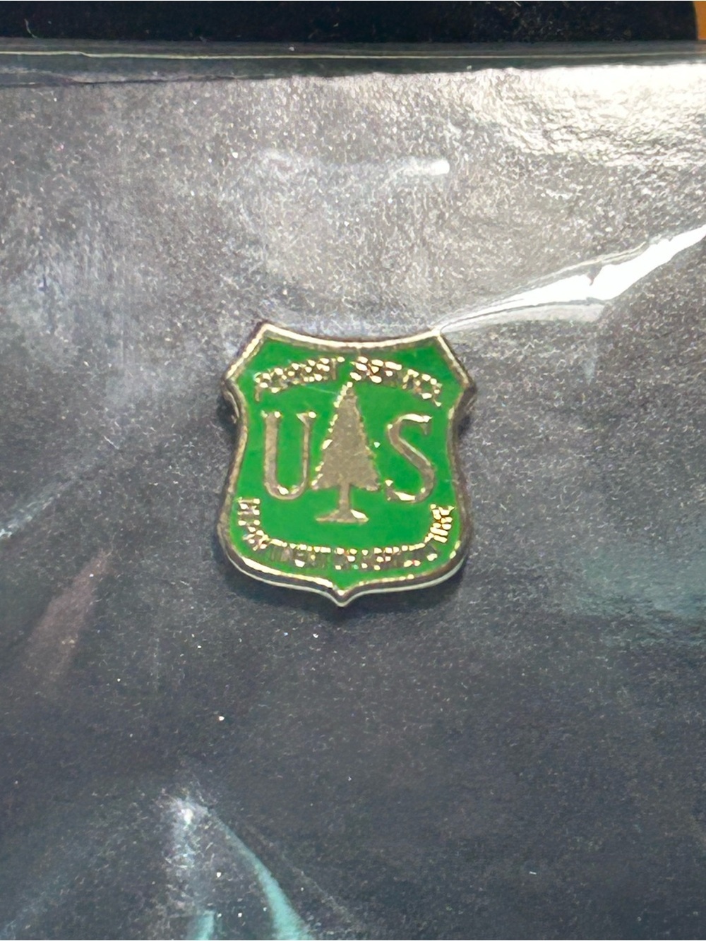 US Forest Servie ,Department of Agriculture ,small lapel pin, New in package
